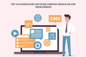 must-have Plugins for Software Companies